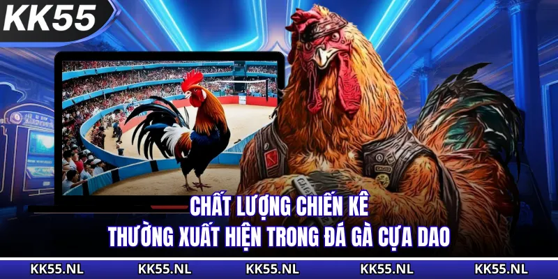 Chất lượng chiến kê thường xuất hiện trong đá gà cựa dao