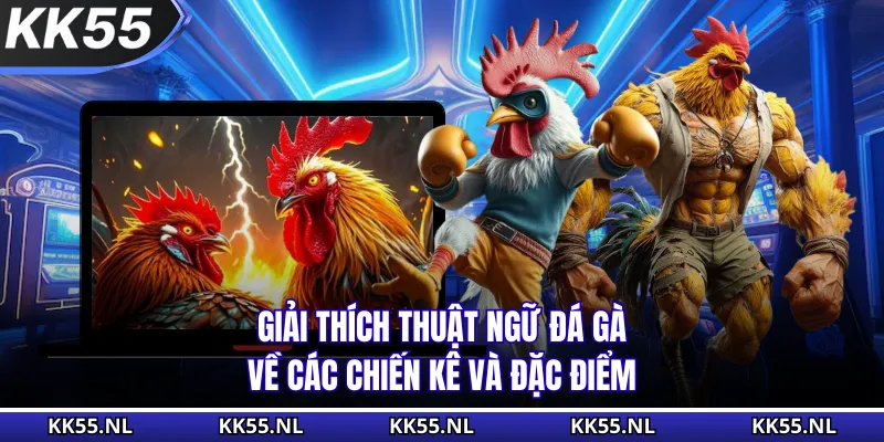 Giải thích thuật ngữ đá gà về các chiến kê và đặc điểm