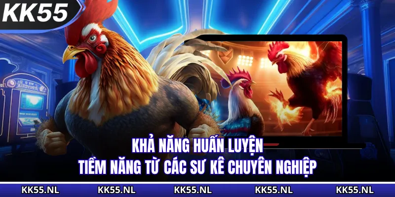 Khả năng huấn luyện tiềm năng từ các sư kê chuyên nghiệp